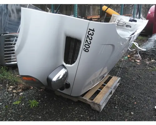 FREIGHTLINER CASCADIA 113 HOOD