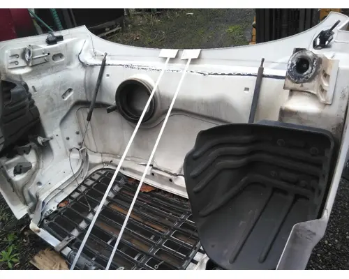 FREIGHTLINER CASCADIA 113 HOOD