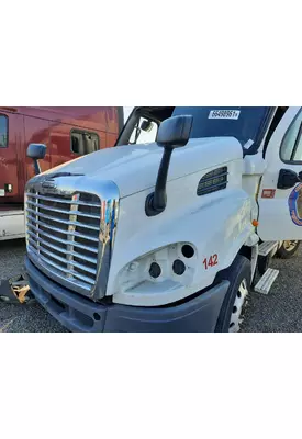 FREIGHTLINER CASCADIA 113 HOOD