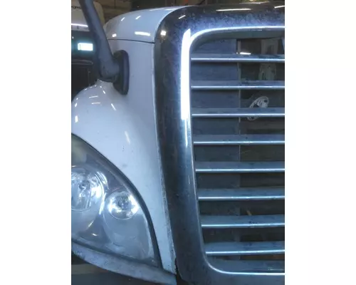 FREIGHTLINER CASCADIA 113 HOOD