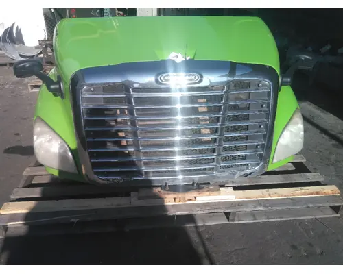FREIGHTLINER CASCADIA 113 HOOD