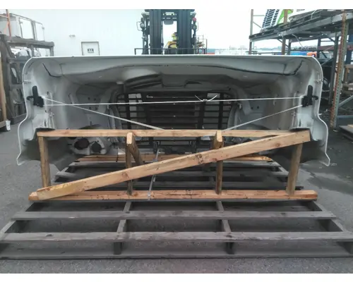 FREIGHTLINER CASCADIA 113 HOOD