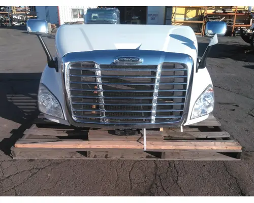 FREIGHTLINER CASCADIA 113 HOOD
