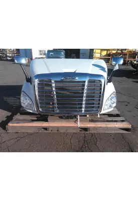 FREIGHTLINER CASCADIA 113 HOOD