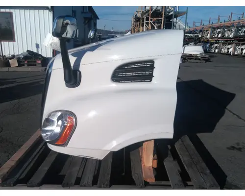 FREIGHTLINER CASCADIA 113 HOOD