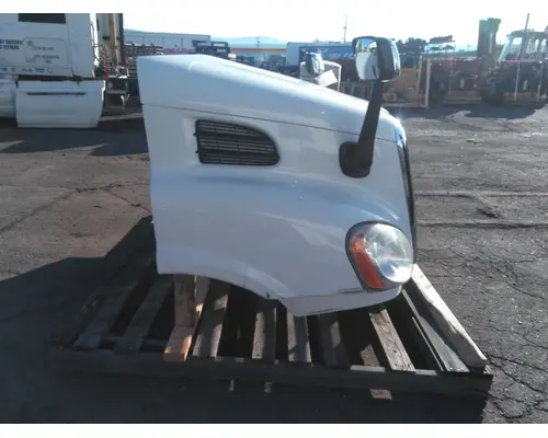 FREIGHTLINER CASCADIA 113 HOOD