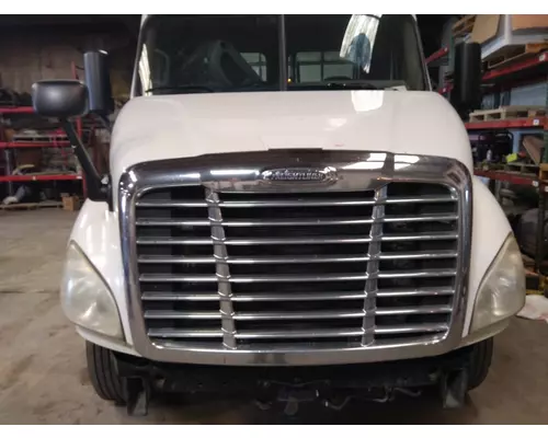 FREIGHTLINER CASCADIA 113 HOOD