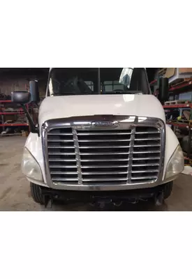 FREIGHTLINER CASCADIA 113 HOOD