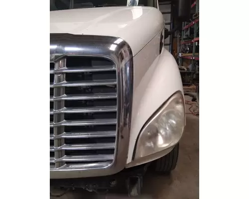 FREIGHTLINER CASCADIA 113 HOOD