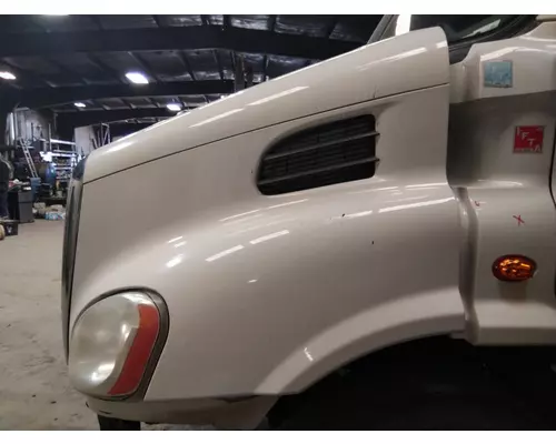 FREIGHTLINER CASCADIA 113 HOOD