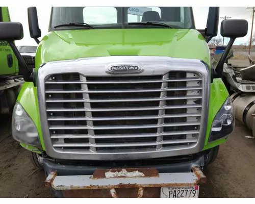 FREIGHTLINER CASCADIA 113 HOOD