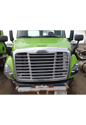 FREIGHTLINER CASCADIA 113 HOOD