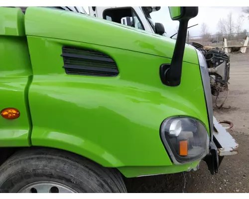 FREIGHTLINER CASCADIA 113 HOOD