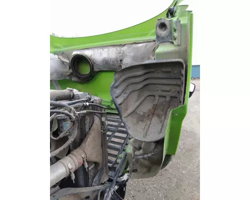 FREIGHTLINER CASCADIA 113 HOOD