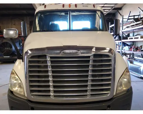 FREIGHTLINER CASCADIA 113 HOOD