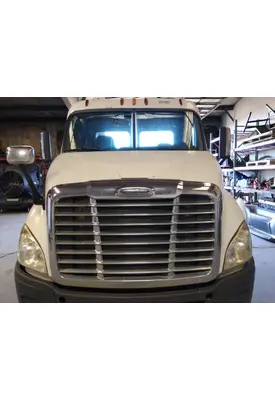 FREIGHTLINER CASCADIA 113 HOOD