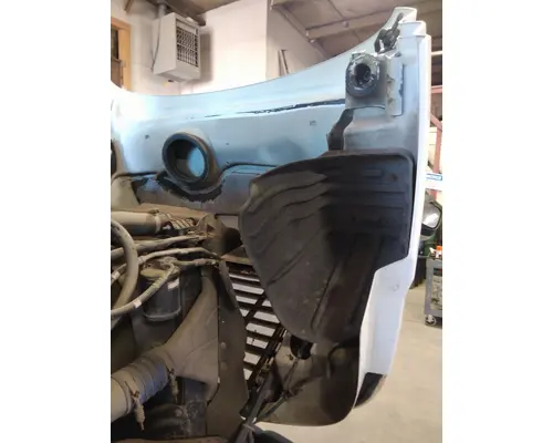 FREIGHTLINER CASCADIA 113 HOOD