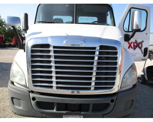 FREIGHTLINER CASCADIA 113 HOOD