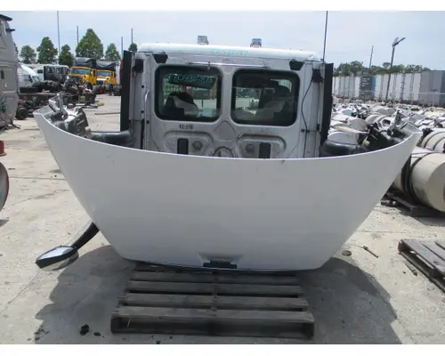 FREIGHTLINER CASCADIA 113 HOOD