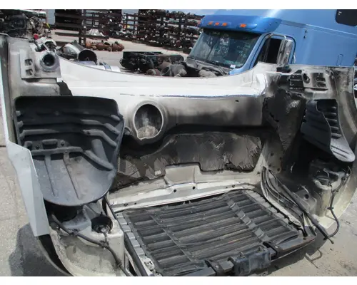 FREIGHTLINER CASCADIA 113 HOOD