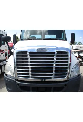 FREIGHTLINER CASCADIA 113 HOOD