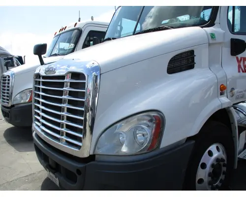 FREIGHTLINER CASCADIA 113 HOOD