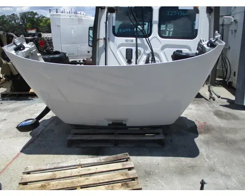 FREIGHTLINER CASCADIA 113 HOOD