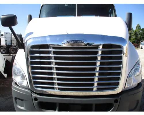 FREIGHTLINER CASCADIA 113 HOOD