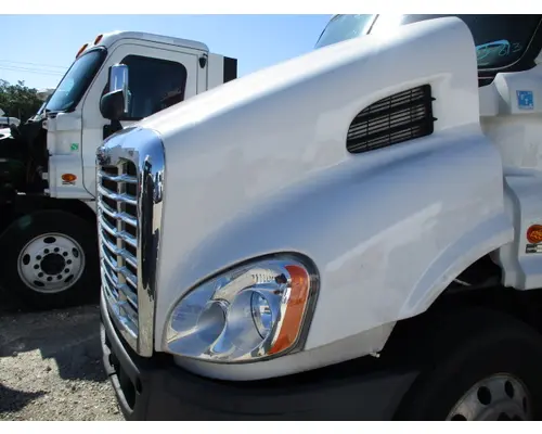 FREIGHTLINER CASCADIA 113 HOOD