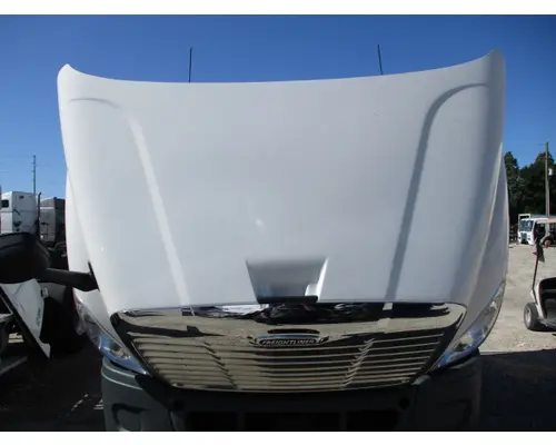 FREIGHTLINER CASCADIA 113 HOOD