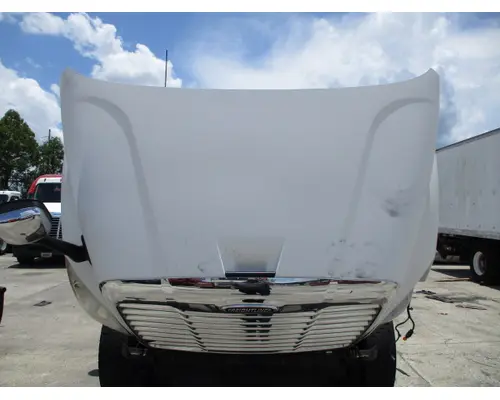 FREIGHTLINER CASCADIA 113 HOOD