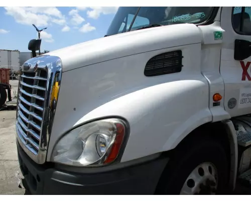 FREIGHTLINER CASCADIA 113 HOOD