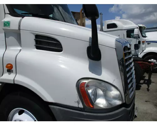 FREIGHTLINER CASCADIA 113 HOOD