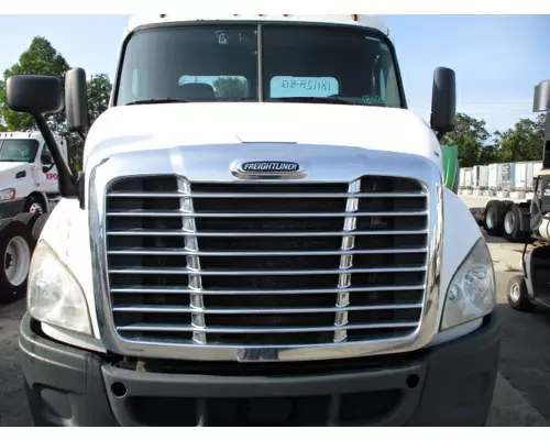 FREIGHTLINER CASCADIA 113 HOOD