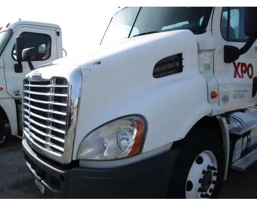 FREIGHTLINER CASCADIA 113 HOOD