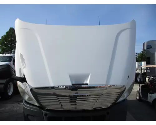 FREIGHTLINER CASCADIA 113 HOOD