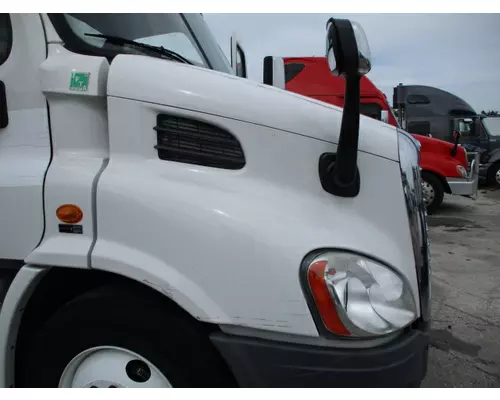 FREIGHTLINER CASCADIA 113 HOOD