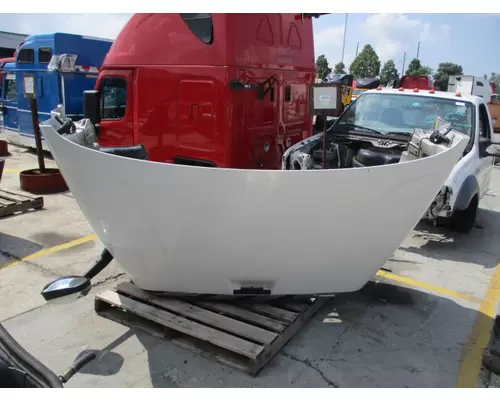 FREIGHTLINER CASCADIA 113 HOOD