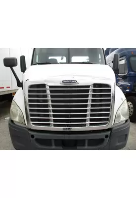 FREIGHTLINER CASCADIA 113 HOOD