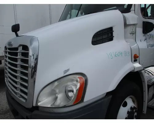 FREIGHTLINER CASCADIA 113 HOOD