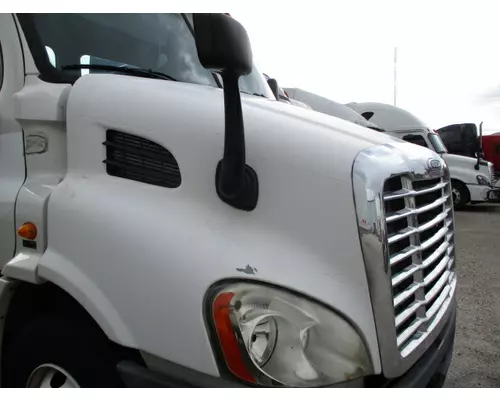 FREIGHTLINER CASCADIA 113 HOOD