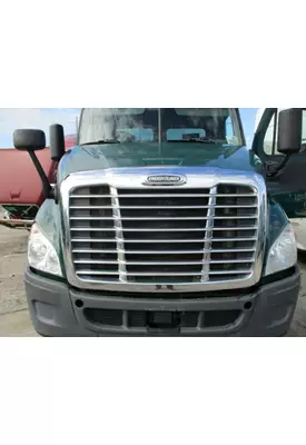 FREIGHTLINER CASCADIA 113 HOOD