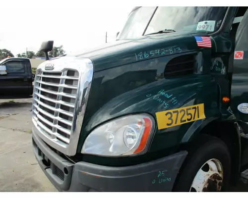 FREIGHTLINER CASCADIA 113 HOOD