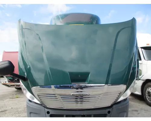 FREIGHTLINER CASCADIA 113 HOOD