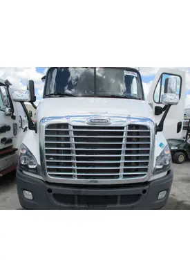 FREIGHTLINER CASCADIA 113 HOOD