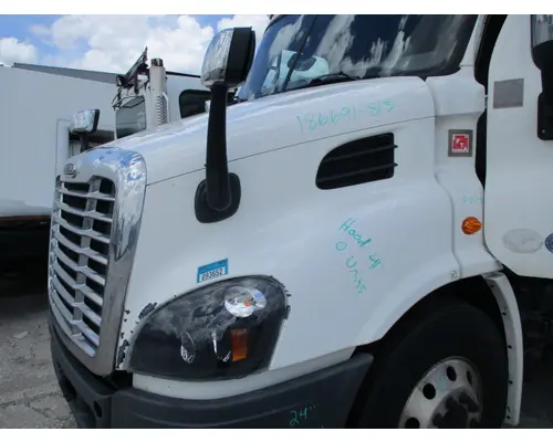 FREIGHTLINER CASCADIA 113 HOOD