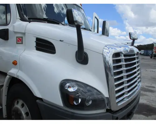 FREIGHTLINER CASCADIA 113 HOOD