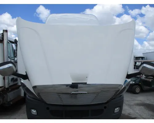 FREIGHTLINER CASCADIA 113 HOOD