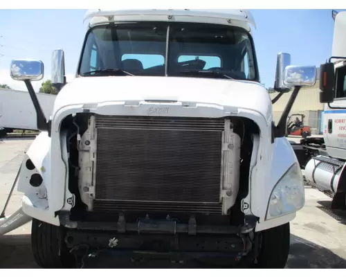 FREIGHTLINER CASCADIA 113 HOOD