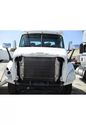 FREIGHTLINER CASCADIA 113 HOOD